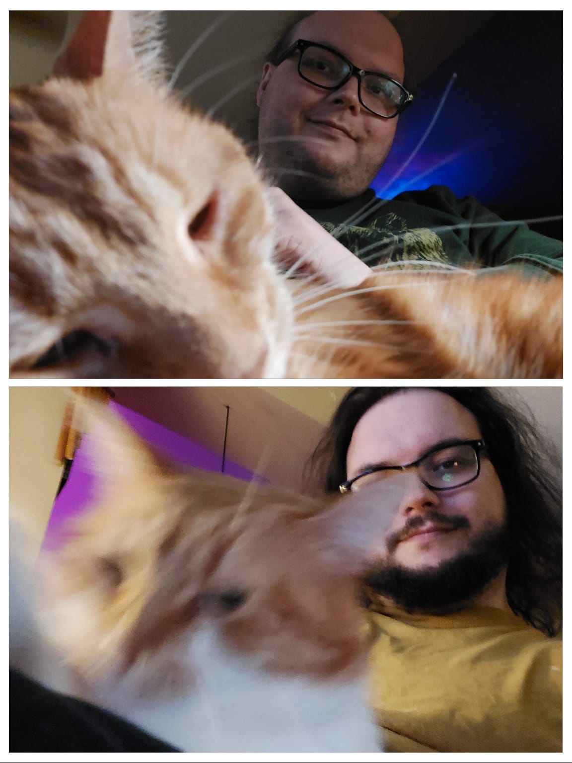 Two photo collage, each featuring the same man with the same orange cat on his lap, the top photo is mostly shaved and has little hair, the bottom photo has long dark hair and a full beard